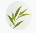 Tea Tree Oil (0.5%)